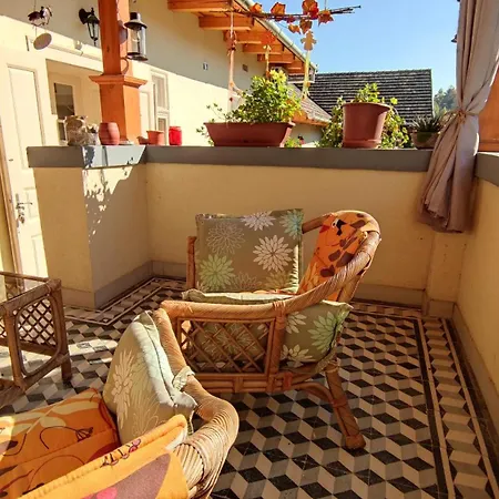 Vazsita Haz Tatil Evi *