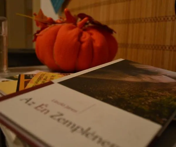 Feriehus Vazsita Haz *